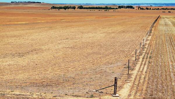 Parcel of Mid North farm land sells at auction for $3.2m