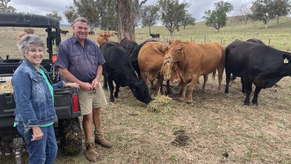 The secret to breeding show winning steers: it takes just three key things