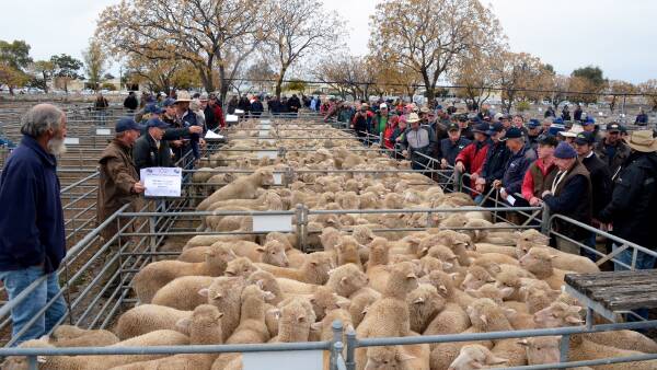 Another Victorian saleyard under threat of closure