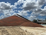 ‘Exceptional’ sorghum harvest wraps up on Downs