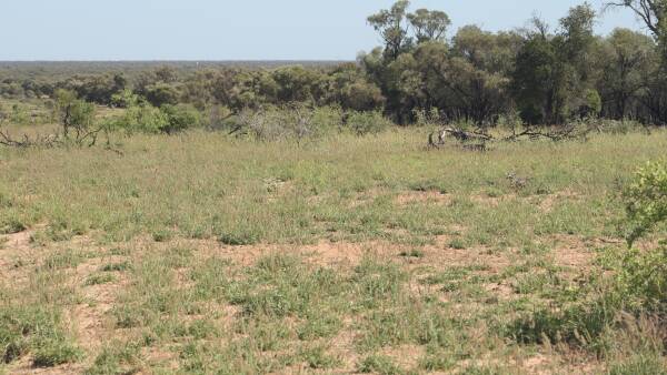 Western Queensland rolling term lease sells for $1.65 million at auction