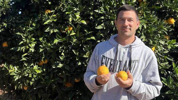 Are 'unrealistic' supermarket standards hindering fruit and veggie growers?