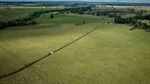 Outstanding adjoining properties Talbragar, Marrington East head to auction