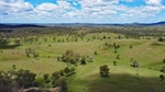 Multiple water sources makes Beeron an ideal standalone grazing property