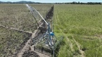 Outstanding Central Queensland cattle country backed by quality irrigation