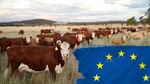 European Commission delivers deforestation risk assessment for Australia
