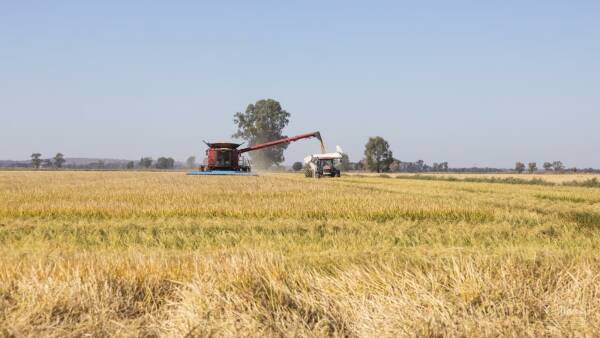 Redeveloped, laser-leveled Riverina irrigation farms on the market | Video