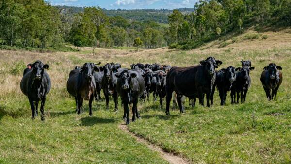 Esk-Alate delivers productive lifestyle and investment opportunity | Video