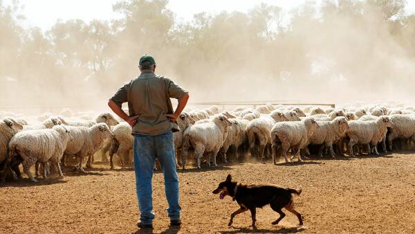 Farmland price growth spurred on by a sharp drop in properties for sale