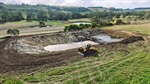 High rainfall, high potential with cattle farm near Timboon for sale