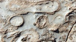 Station's buyers inherit ancient key to the planet's earliest life
