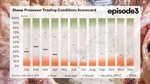 Cost-price squeeze: sharp rise in mutton procurement cost pressures sheepmeat processors