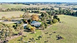 Dairy or beef? Lush Leongatha district farm offers options for buyers