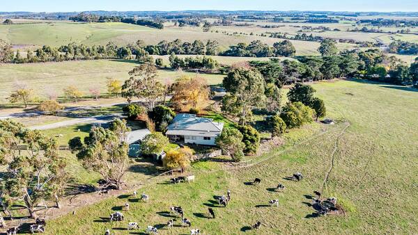 Dairy or beef? Lush Leongatha district farm offers options for buyers