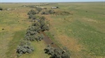 Marionvale: Very well-grassed country within an exclusion fenced cluster