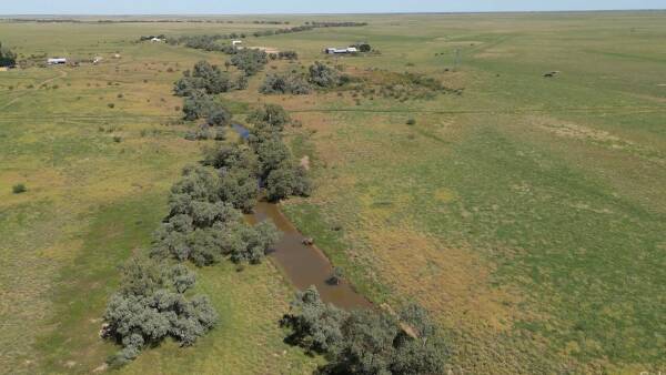 Marionvale: Very well-grassed country within an exclusion fenced cluster