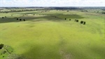 Well-developed brigalow belt cattle country sold for $2.9m at auction