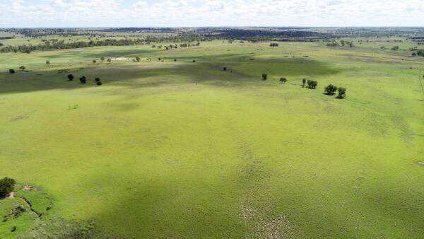 Well-developed brigalow belt cattle country sold for $2.9m at auction