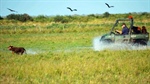 Australian farmland market shifts gears after the price boom ends