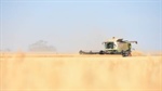 Grain industry wants a share of conference funding after beef announcement
