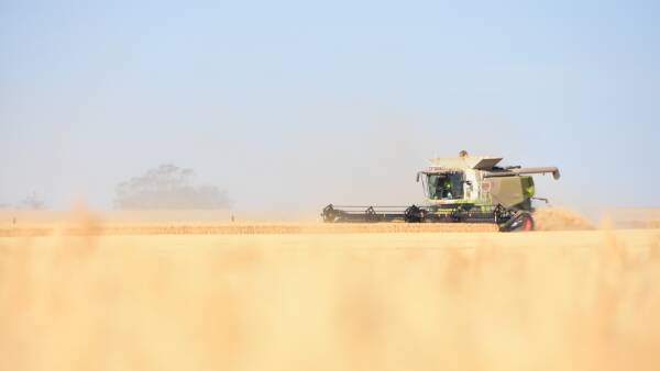 Grain industry wants a share of conference funding after beef announcement