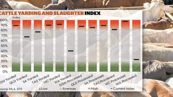Eastern and southern states lead the way in saleyard and processor volumes