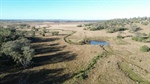 Ballyea hits $4008/acre, selling for well above market expectations | Video