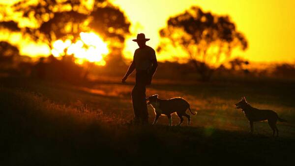 Federal Government's super tax now super serious for Australian farmers