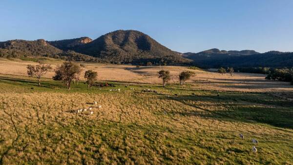 Outstanding opportunity to secure productive, scenic Bylong Valley country
