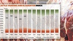Welcome rebound: May a turning point as beef processor trading conditions lift