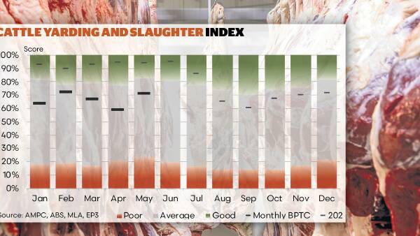 Welcome rebound: May a turning point as beef processor trading conditions lift