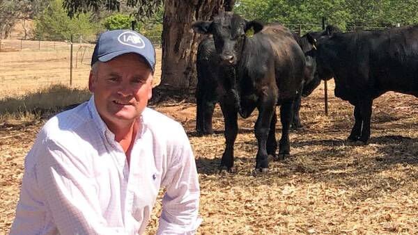 Trial date set for NSW Angus breeder facing multiple fraud charges
