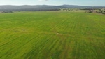 Wentworth a 1472 acre cropping "expansion opportunity" close to grain depot