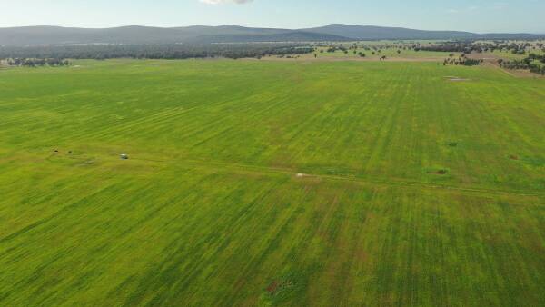 Wentworth a 1472 acre cropping "expansion opportunity" close to grain depot