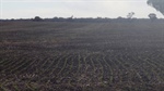 Bayer issues herbicide recall due to labelling error not quality issues