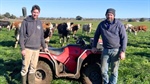 'Never looked back': Coragulac dairy farm opts for Fleckvieh over Friesian