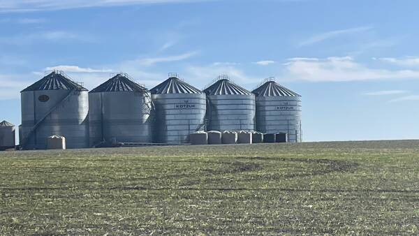 Climatologist warns that green paddocks don't mean the drought is over