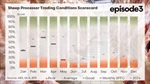 Sharp and sobering fall: sheep processor conditions suffer heavy blow in May
