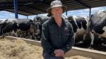 Study finds extreme heat can have a significant effect on milk production