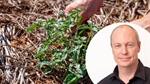 Looming biological cropping boom sees Syngenta fast tracking development