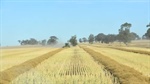 Talk of Australia/China canola deal brokered that could resume shipments