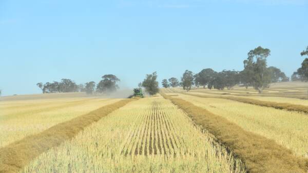 Talk of Australia/China canola deal brokered that could resume shipments