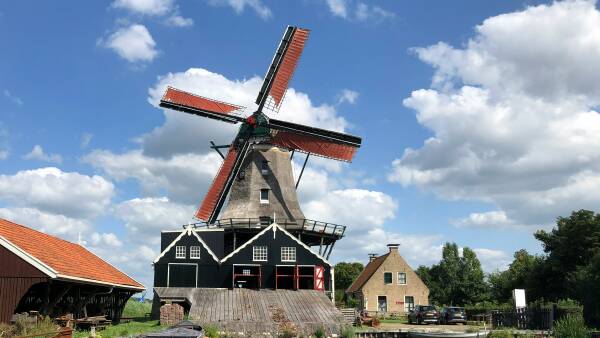 Dutch big gun aligns with Bega in battle for prized Fonterra dairy assets