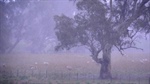 System sweeps across the country bringing rains everywhere it goes