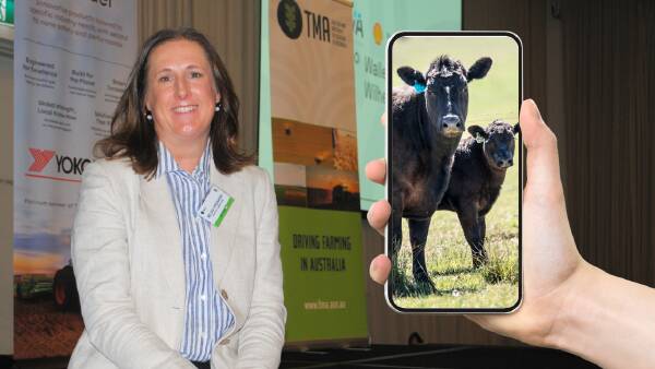 Farmers encouraged to use social media to 'normalise' farming for city folk