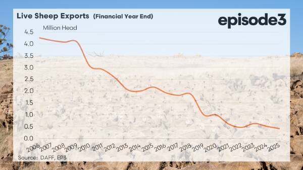 'A twilight industry': live sheep export is dying, and the trend is global