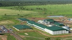 The wait is nearly over: AACo tips decision on closed NT meatworks `soon'