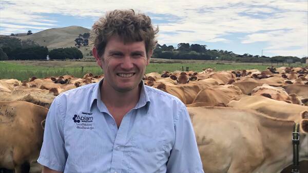 New automated data transfers from farms a game-changer for dairy farmers