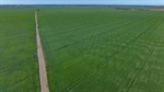 Outstanding dryland cultivation, irrigation, prime grazing country | Video