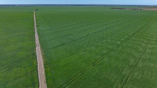 Outstanding dryland cultivation, irrigation, prime grazing country | Video